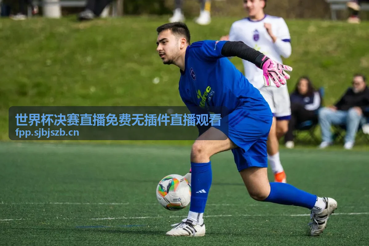 世界杯决赛直播免费无插件直播观看热门赛事1