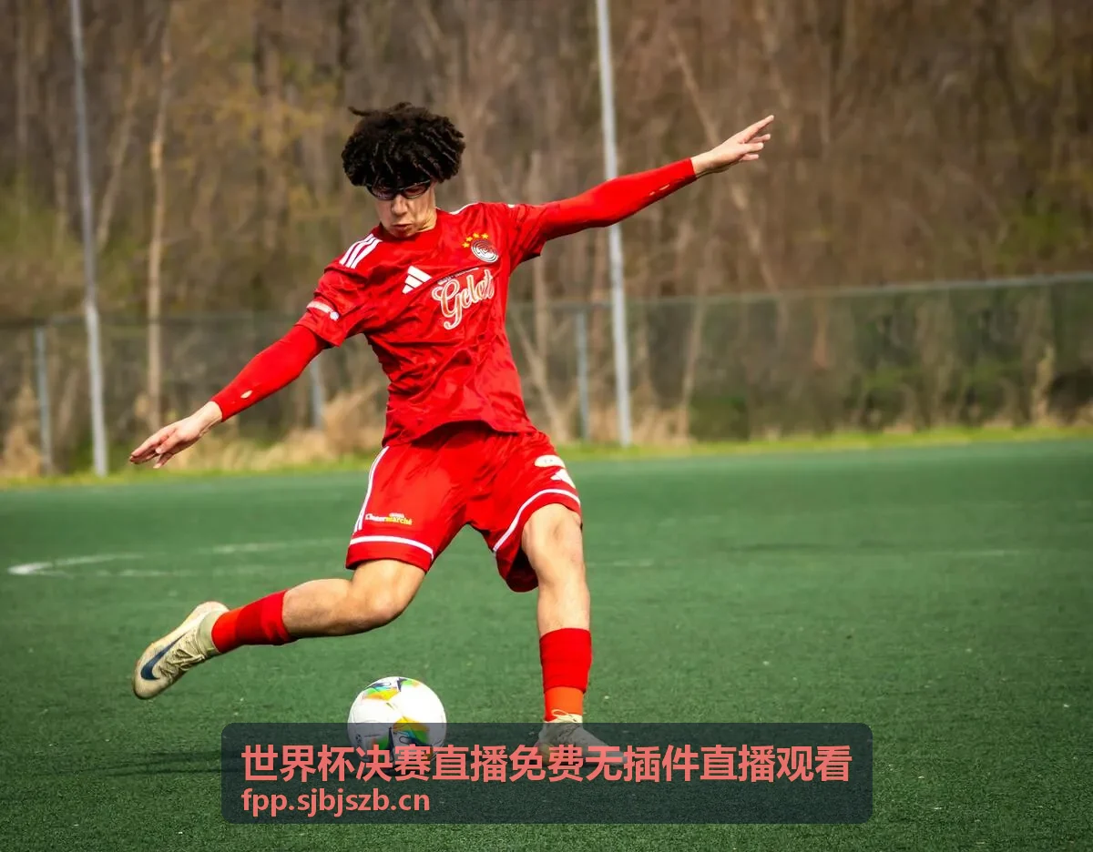 世界杯决赛直播免费无插件直播观看热门赛事3